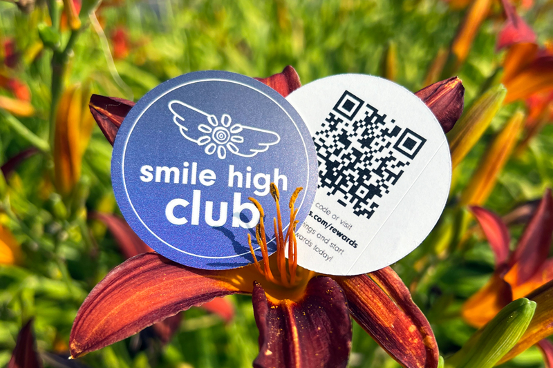 mexicali-blues-stickers-with-back-printing